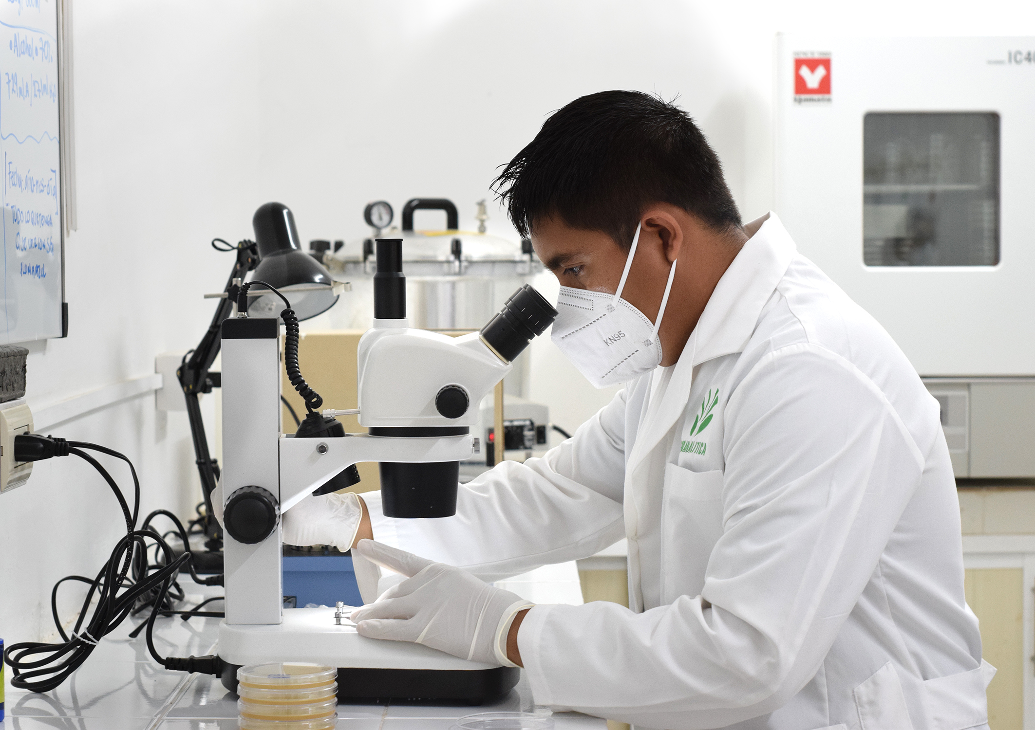 FITOPATOLOGIA